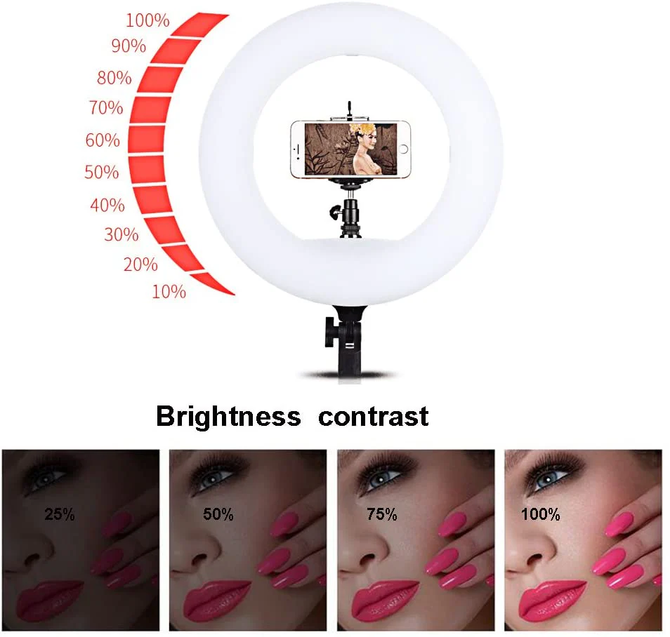 18 inch Bi-colour LED Ring light FE-480ii with remote control Kit - Image 2