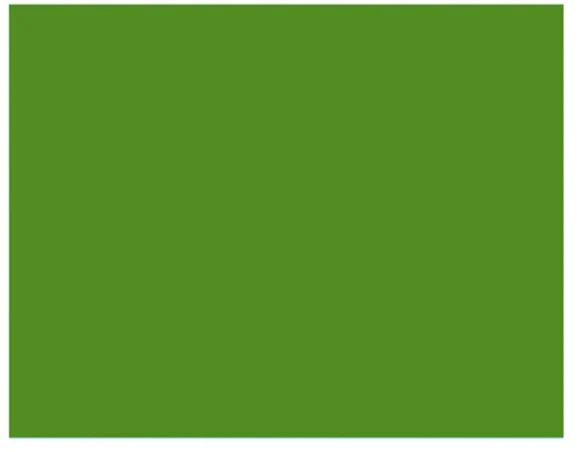 2,72X11M Savage Seamless Paper Backdrop (Green) - Image 2