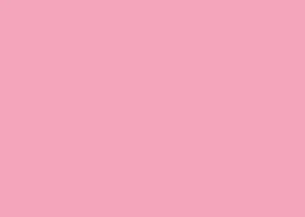2,72X11M Savage Seamless Paper Backdrop (Carnation Pink) - Image 2