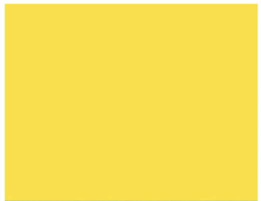 2,72X11M Savage Seamless Paper Backdrop (Yellow) - Image 2