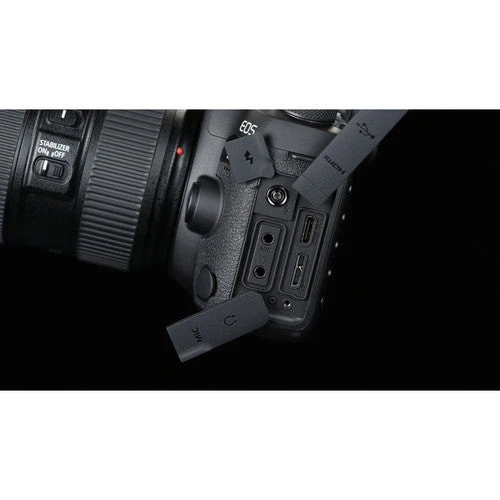 Canon 5D Mark IV with 24-105mm f/4L IS USM lens - Image 10