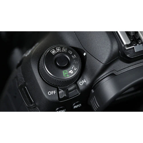 Canon 5D Mark IV with 24-105mm f/4L IS USM lens - Image 11