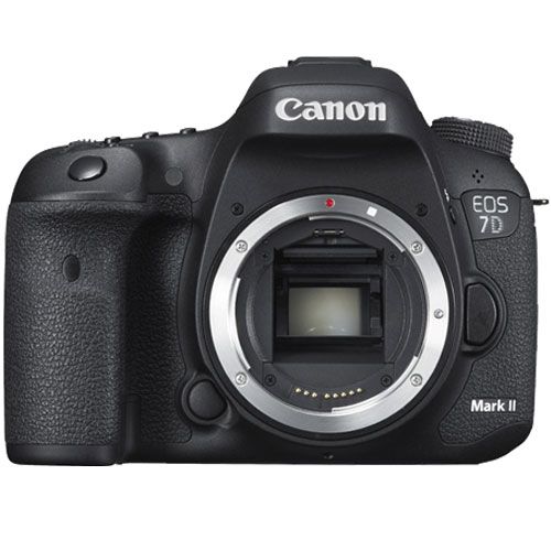 Canon 7D Mark II with 18-135mm Lens - Image 2