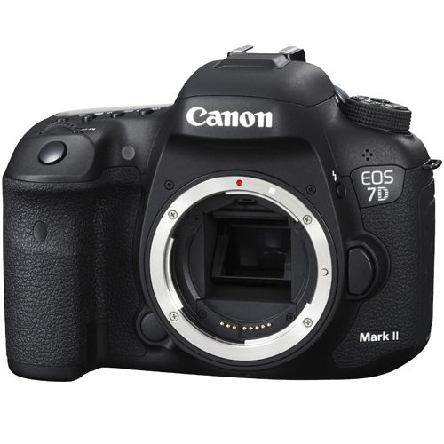 Canon 7D Mark II with 18-135mm Lens - Image 3