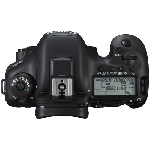 Canon 7D Mark II with 18-135mm Lens - Image 6