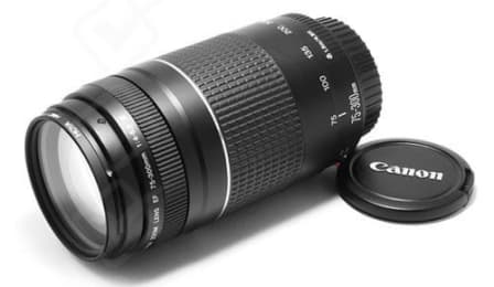Canon EF 75-300mm f/4-5.6 III Telephoto Zoom Lens for Canon SLR Cameras - Image 2