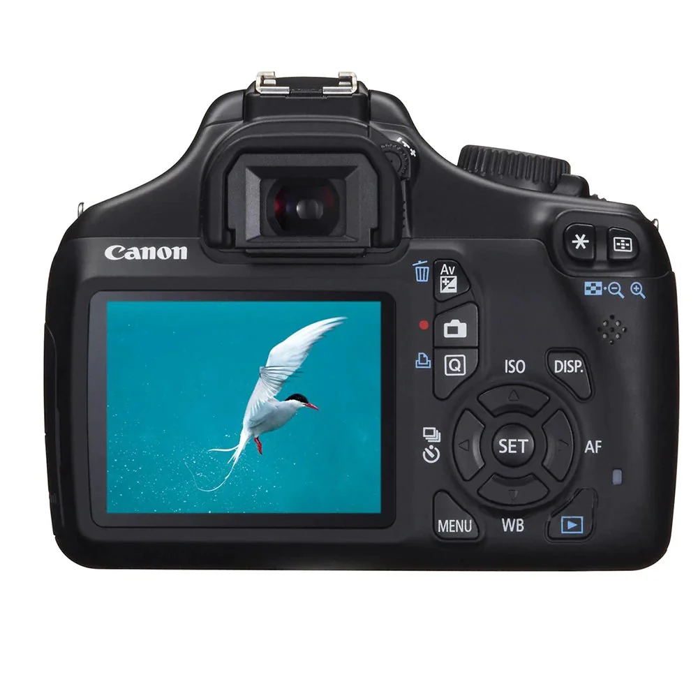 Canon 1100D with 18-55mm Lens (Used) - Image 2