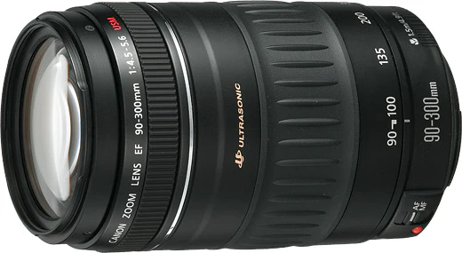 Used: Canon EF 90-300mm f/4.5-5.6 - Image 2