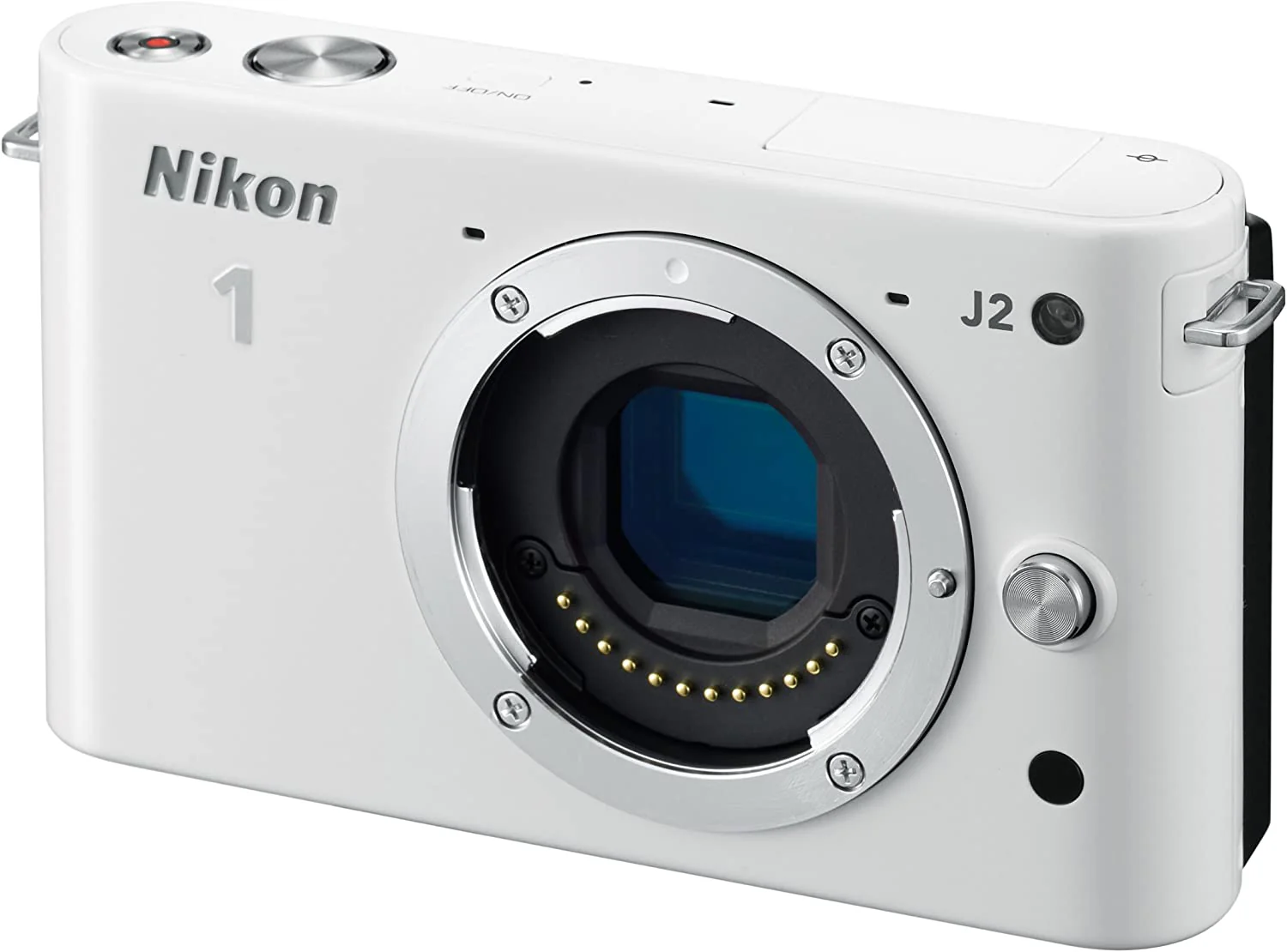 Used: Nikon J2  with 30-110mm Lens